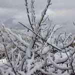 हुम्लामा फेरि हिमपात, हवाई सेवा अवरुद्ध, जनजीवन प्रभावित