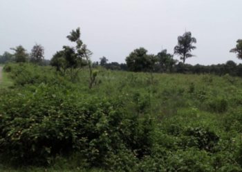 गैंडाकोटका मेयरकै नेतृत्वमा खेतान समुहको ३८ बिगाहा जग्गा कब्जा
